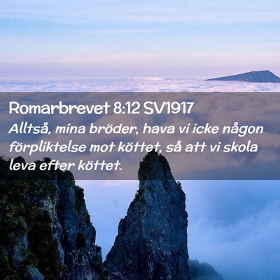 Picture 02 - Romarbrevet 8:12 SV1917 - Alltså, mina bröder, hava vi icke någon - Bible Verse Picture