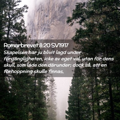 Picture 02 - Romarbrevet 8:20 SV1917 - Skapelsen har ju blivit lagd under - Bible Verse Picture