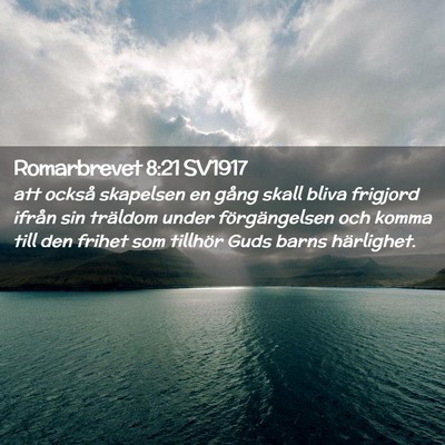 Picture 02 - Romarbrevet 8:21 SV1917 - att också skapelsen en gång skall bliva - Bible Verse Picture