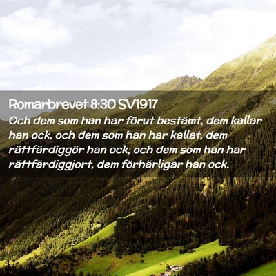 Picture 02 - Romarbrevet 8:30 SV1917 - Och dem som han har förut bestämt, dem kallar - Bible Verse Picture