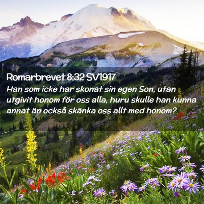 Picture 02 - Romarbrevet 8:32 SV1917 - Han som icke har skonat sin egen Son, utan - Bible Verse Picture