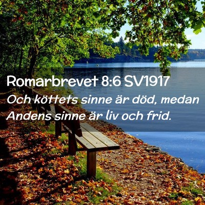 Picture 02 - Romarbrevet 8:6 SV1917 - Och köttets sinne är död, medan Andens sinne - Bible Verse Picture