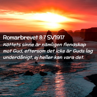 Picture 02 - Romarbrevet 8:7 SV1917 - Köttets sinne är nämligen fiendskap mot Gud, - Bible Verse Picture