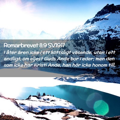 Picture 02 - Romarbrevet 8:9 SV1917 - I åter ären icke i ett köttsligt väsende, - Bible Verse Picture