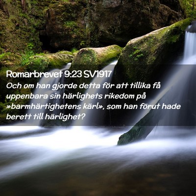Picture 02 - Romarbrevet 9:23 SV1917 - Och om han gjorde detta för att tillika få - Bible Verse Picture