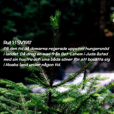Picture 02 - Rut 1:1 SV1917 - På den tid då domarna regerade uppstod - Bible Verse Picture