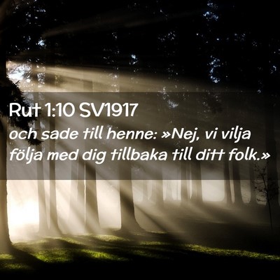 Picture 02 - Rut 1:10 SV1917 - och sade till henne: »Nej, vi vilja följa med - Bible Verse Picture