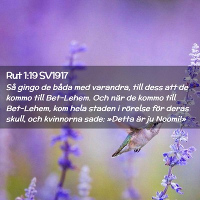 Picture 02 - Rut 1:19 SV1917 - Så gingo de båda med varandra, till dess att de - Bible Verse Picture