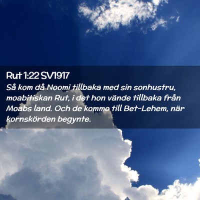 Picture 02 - Rut 1:22 SV1917 - Så kom då Noomi tillbaka med sin sonhustru, - Bible Verse Picture