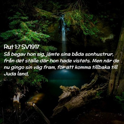 Picture 02 - Rut 1:7 SV1917 - Så begav hon sig, jämte sina båda sonhustrur, - Bible Verse Picture