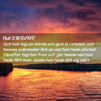 Picture 02 - Rut 2:18 SV1917 - Och hon tog sin börda och gick in i staden, och - Bible Verse Picture