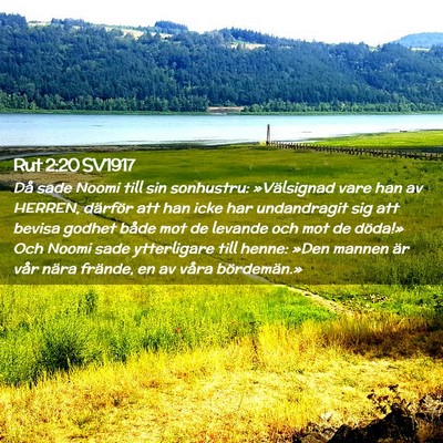 Picture 02 - Rut 2:20 SV1917 - Då sade Noomi till sin sonhustru: »Välsignad - Bible Verse Picture