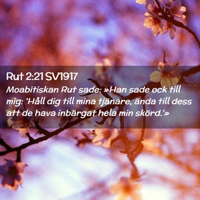 Picture 02 - Rut 2:21 SV1917 - Moabitiskan Rut sade: »Han sade ock till mig: - Bible Verse Picture
