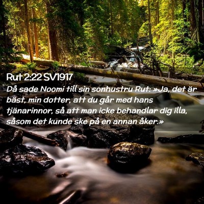Picture 02 - Rut 2:22 SV1917 - Då sade Noomi till sin sonhustru Rut: »Ja, det - Bible Verse Picture