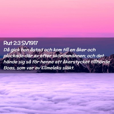 Picture 02 - Rut 2:3 SV1917 - Då gick hon åstad och kom till en åker och - Bible Verse Picture