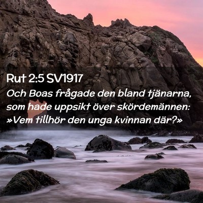 Picture 02 - Rut 2:5 SV1917 - Och Boas frågade den bland tjänarna, som hade - Bible Verse Picture