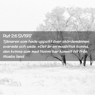 Picture 02 - Rut 2:6 SV1917 - Tjänaren som hade uppsikt över skördemännen - Bible Verse Picture