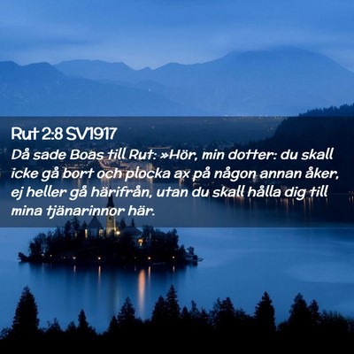 Picture 02 - Rut 2:8 SV1917 - Då sade Boas till Rut: »Hör, min dotter: du - Bible Verse Picture