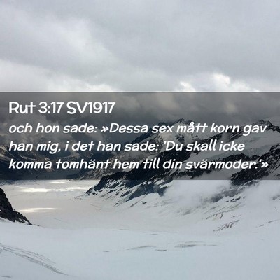 Picture 02 - Rut 3:17 SV1917 - och hon sade: »Dessa sex mått korn gav han mig, - Bible Verse Picture