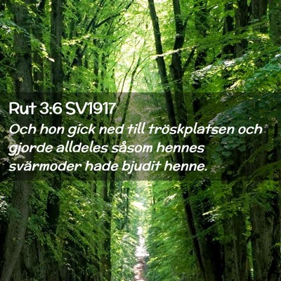 Picture 02 - Rut 3:6 SV1917 - Och hon gick ned till tröskplatsen och gjorde - Bible Verse Picture