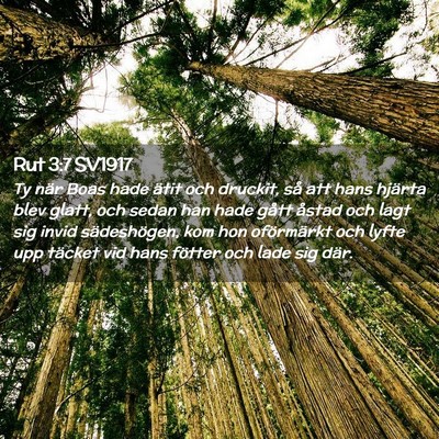 Picture 02 - Rut 3:7 SV1917 - Ty när Boas hade ätit och druckit, så att hans - Bible Verse Picture