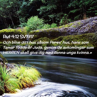 Picture 02 - Rut 4:12 SV1917 - Och blive ditt hus såsom Peres' hus, hans som - Bible Verse Picture