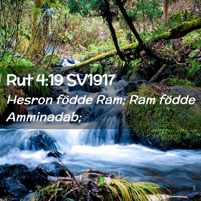 Picture 02 - Rut 4:19 SV1917 - Hesron födde Ram; Ram födde - Bible Verse Picture