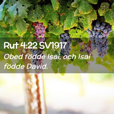 Picture 02 - Rut 4:22 SV1917 - Obed födde Isai, och Isai födde - Bible Verse Picture