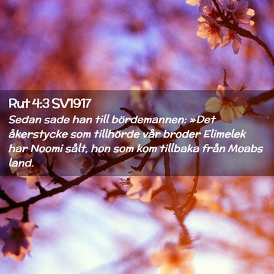 Picture 02 - Rut 4:3 SV1917 - Sedan sade han till bördemannen: »Det - Bible Verse Picture