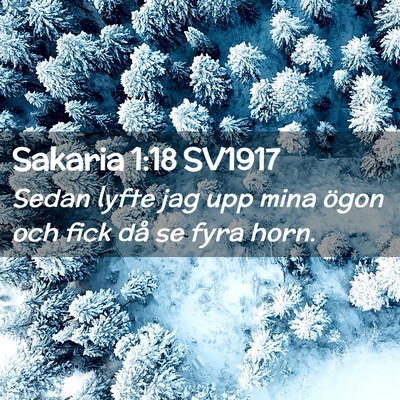 Picture 02 - Sakaria 1:18 SV1917 - Sedan lyfte jag upp mina ögon och fick då se - Bible Verse Picture