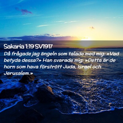 Picture 02 - Sakaria 1:19 SV1917 - Då frågade jag ängeln som talade med mig: - Bible Verse Picture