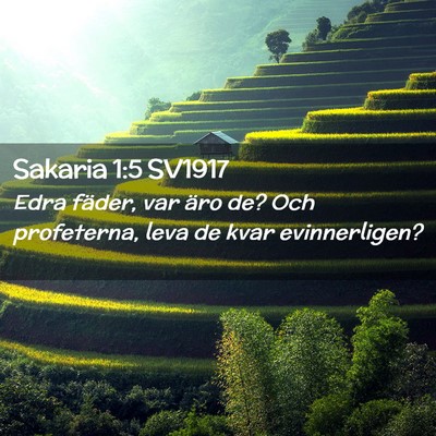 Picture 02 - Sakaria 1:5 SV1917 - Edra fäder, var äro de? Och profeterna, leva de - Bible Verse Picture