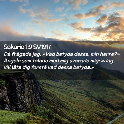 Picture 02 - Sakaria 1:9 SV1917 - Då frågade jag: »Vad betyda dessa, min - Bible Verse Picture