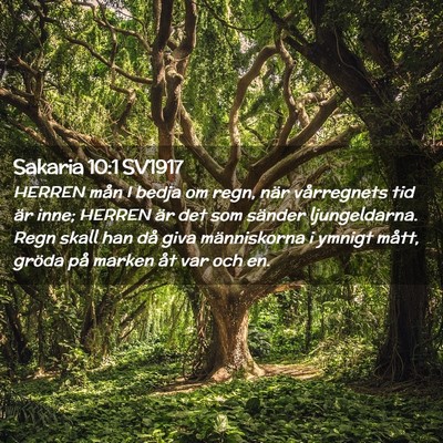 Picture 02 - Sakaria 10:1 SV1917 - HERREN mån I bedja om regn, när vårregnets tid - Bible Verse Picture