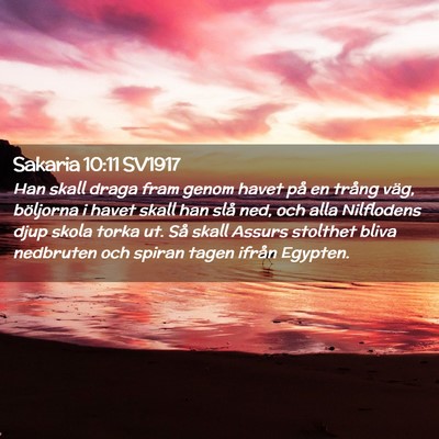 Picture 02 - Sakaria 10:11 SV1917 - Han skall draga fram genom havet på en trång - Bible Verse Picture
