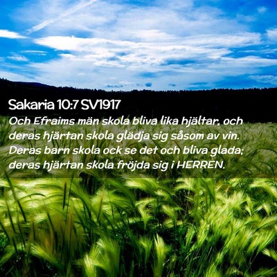 Picture 02 - Sakaria 10:7 SV1917 - Och Efraims män skola bliva lika hjältar, och - Bible Verse Picture