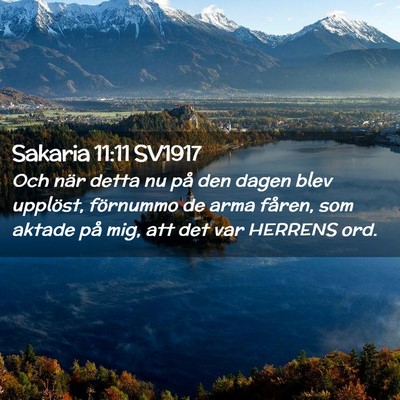 Picture 02 - Sakaria 11:11 SV1917 - Och när detta nu på den dagen blev upplöst, - Bible Verse Picture