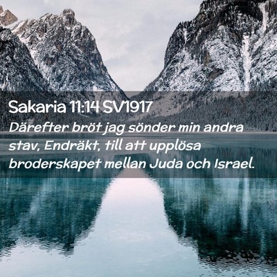 Picture 02 - Sakaria 11:14 SV1917 - Därefter bröt jag sönder min andra stav, - Bible Verse Picture