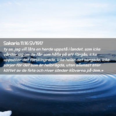 Picture 02 - Sakaria 11:16 SV1917 - ty se, jag vill låta en herde uppstå i landet, - Bible Verse Picture