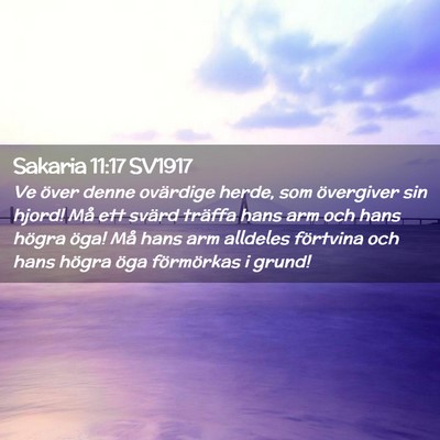 Picture 02 - Sakaria 11:17 SV1917 - Ve över denne ovärdige herde, som övergiver - Bible Verse Picture