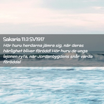 Picture 02 - Sakaria 11:3 SV1917 - Hör huru herdarna jämra sig, när deras - Bible Verse Picture