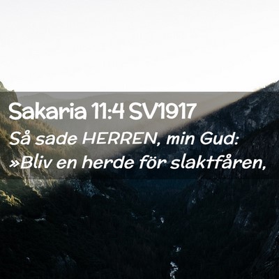 Picture 02 - Sakaria 11:4 SV1917 - Så sade HERREN, min Gud: »Bliv en herde för - Bible Verse Picture