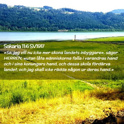Picture 02 - Sakaria 11:6 SV1917 - »Se, jag vill nu icke mer skona landets - Bible Verse Picture