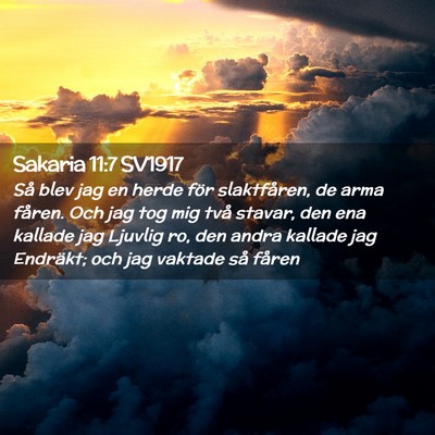 Picture 02 - Sakaria 11:7 SV1917 - Så blev jag en herde för slaktfåren, de arma - Bible Verse Picture
