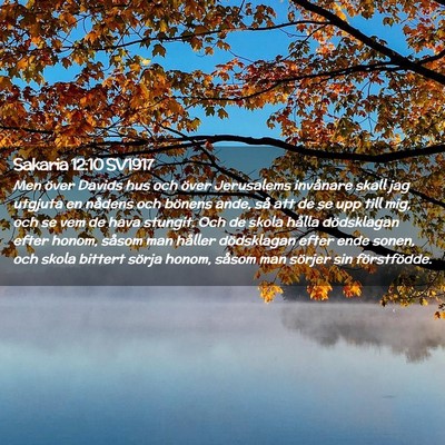 Picture 02 - Sakaria 12:10 SV1917 - Men över Davids hus och över Jerusalems - Bible Verse Picture