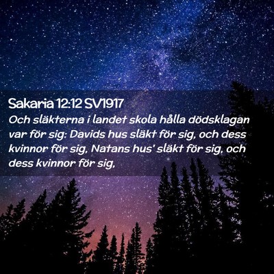 Picture 02 - Sakaria 12:12 SV1917 - Och släkterna i landet skola hålla dödsklagan - Bible Verse Picture