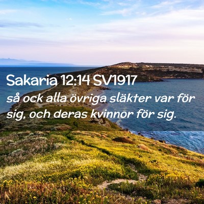 Picture 02 - Sakaria 12:14 SV1917 - så ock alla övriga släkter var för sig, och - Bible Verse Picture