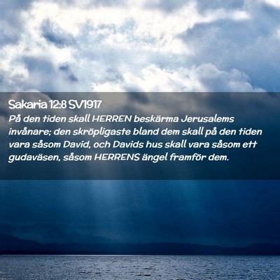 Picture 02 - Sakaria 12:8 SV1917 - På den tiden skall HERREN beskärma Jerusalems - Bible Verse Picture