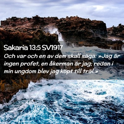 Picture 02 - Sakaria 13:5 SV1917 - Och var och en av dem skall säga: »Jag är - Bible Verse Picture