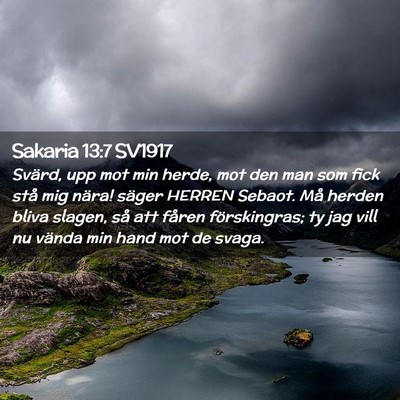 Picture 02 - Sakaria 13:7 SV1917 - Svärd, upp mot min herde, mot den man som fick - Bible Verse Picture